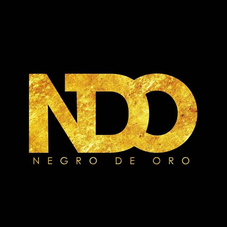 NDO logo